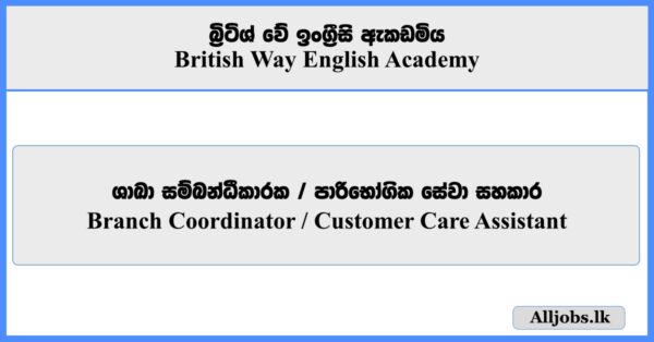 Branch Coordinator, Customer Care Assistant - British Way English Academy 2026