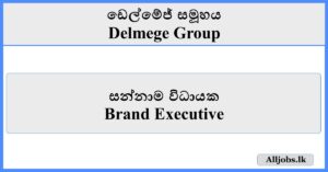 Brand Executive - Delmege Group