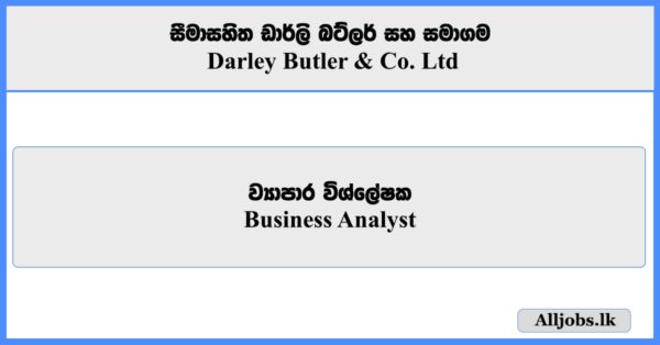 Business Analyst - Darley Butler & Co. Ltd