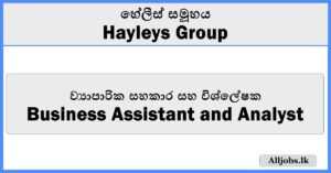 Business Assistant and Analyst - Hayleys Group