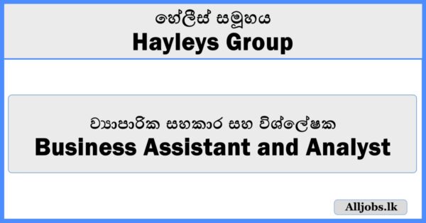Business Assistant and Analyst - Hayleys Group