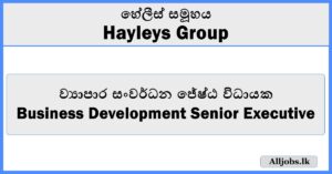 Business Development Senior Executive - Hayleys Group