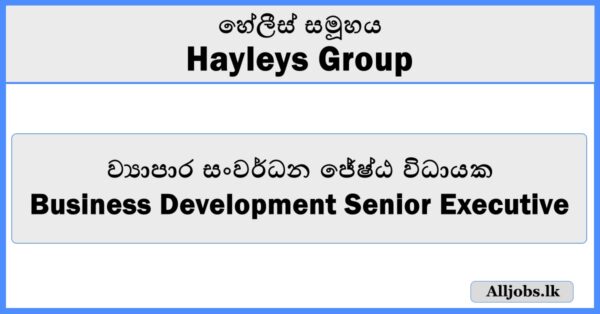 Business Development Senior Executive - Hayleys Group