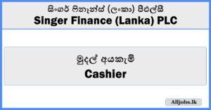 Cashier - Singer Finance (Lanka) PLC