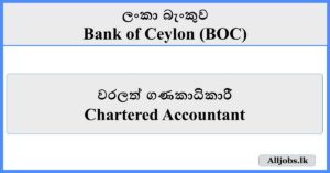 Chartered Accountant - Bank of Ceylon (BOC)