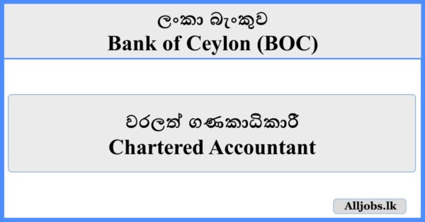 Chartered Accountant - Bank of Ceylon (BOC)