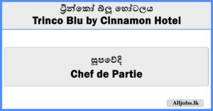 Chef de Partie - Trinco Blu by Cinnamon Hotel