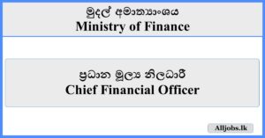 Chief Financial Officer - Ministry of Finance