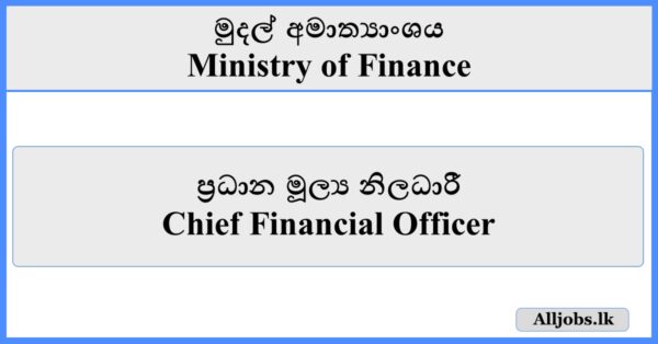 Chief Financial Officer - Ministry of Finance