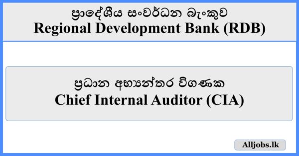Chief Internal Auditor (CIA) - Regional Development Bank (RDB)