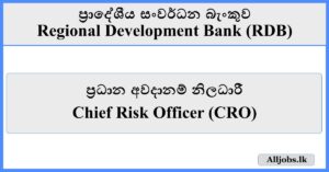 Chief Risk Officer (CRO) - Regional Development Bank (RDB)