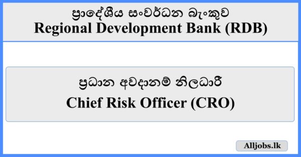 Chief Risk Officer (CRO) - Regional Development Bank (RDB)