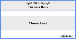 Cluster Lead - Pan Asia Bank