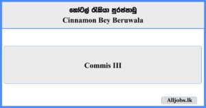 Commis III - Cinnamon Bey Beruwala