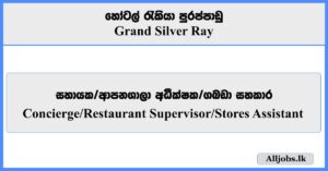 Concierge, Restaurant Supervisor, Stores Assistant  - Grand Silver Ray Hotel