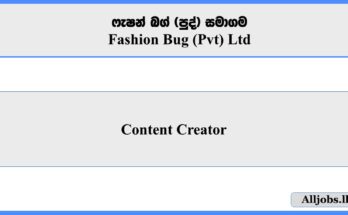 Content Creator - Fashion Bug (Pvt) Ltd