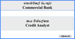 Credit Analyst - Commercial Bank