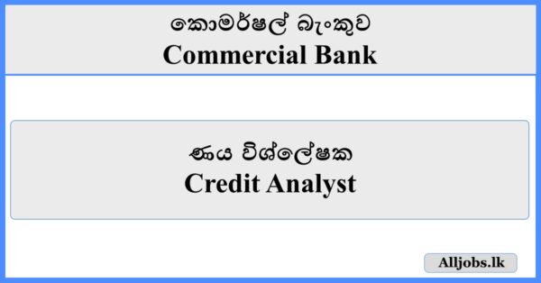 Credit Analyst - Commercial Bank