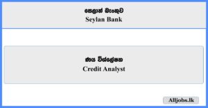 Credit Analyst - Seylan Bank