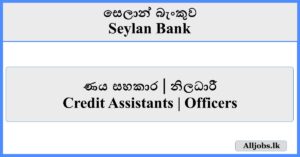 Credit Assistants / Officers - Seylan Bank