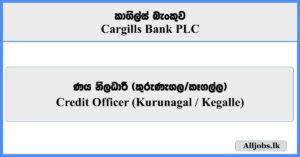 Credit Officer - Cargills Bank
