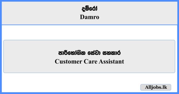 Customer Care Assistant - Damro