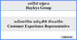 Customer Experience Representative - Hayleys Group