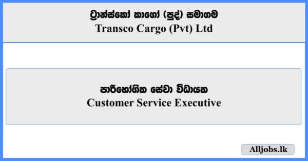 Customer Service Executive - Transco Cargo (Pvt) Ltd