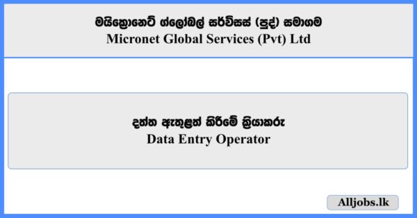 Data Entry Operator - Micronet Global Services
