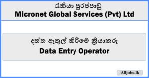 Data Entry Operator - Micronet Global Services (Pvt) Ltd