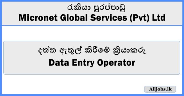 Data Entry Operator - Micronet Global Services (Pvt) Ltd