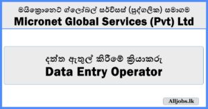 Data Entry Operator - Micronet Global Services (Pvt) Ltd