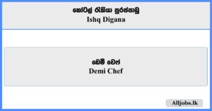 Demi Chef - shq Digana