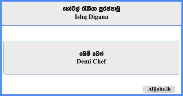 Demi Chef - shq Digana