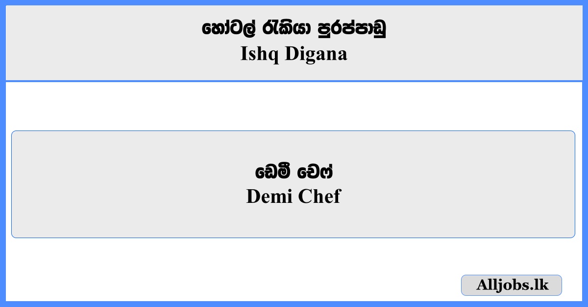 Demi Chef - shq Digana