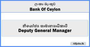 Deputy General Manager - BOC Bank