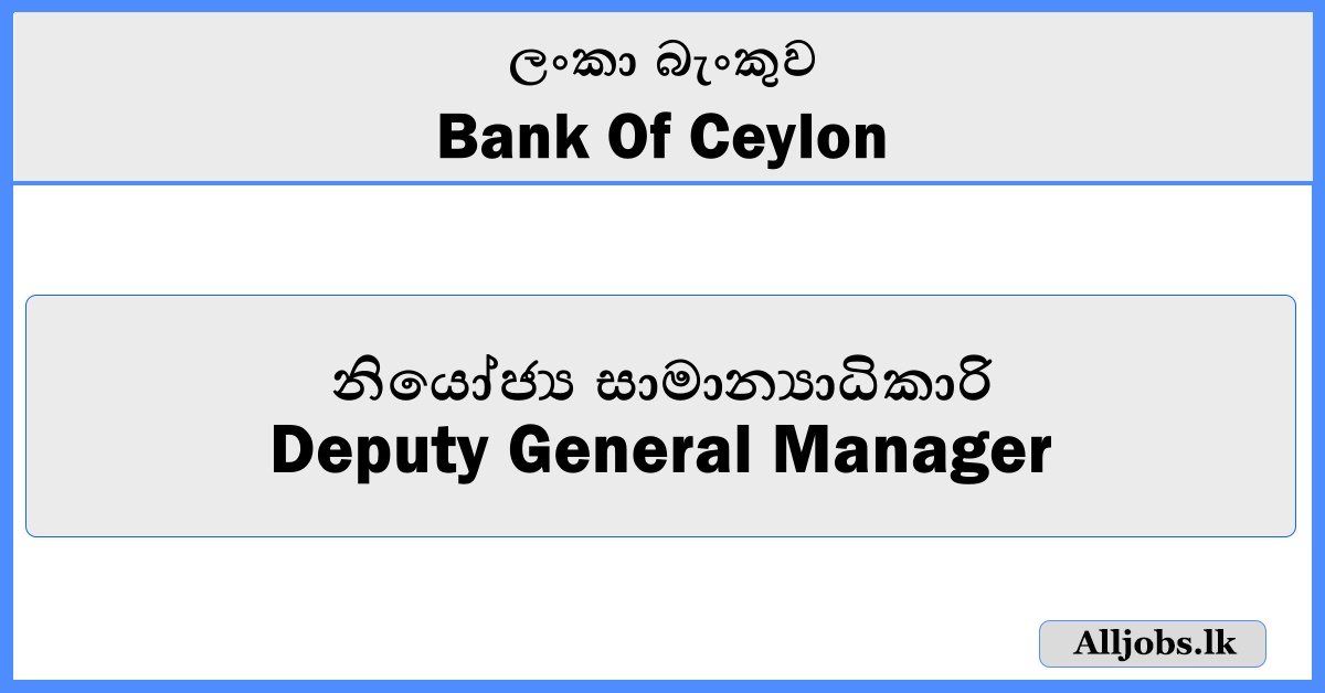 Deputy General Manager - BOC Bank