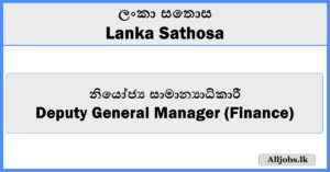 Deputy General Manager (Finance) - Lanka Sathosa