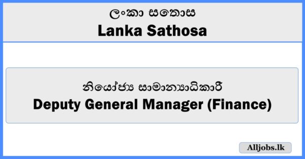 Deputy General Manager (Finance) - Lanka Sathosa