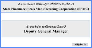 Deputy General Manager - State Pharmaceuticals Manufacturing Corporation