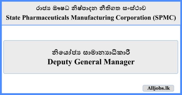Deputy General Manager - State Pharmaceuticals Manufacturing Corporation