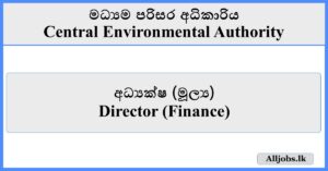 Director (Finance) - Central Environmental Authority