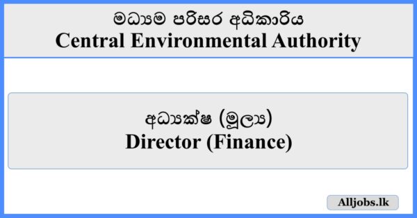 Director (Finance) - Central Environmental Authority