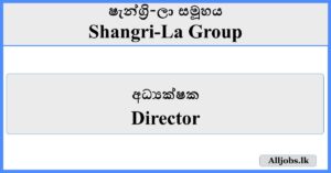 Director - Shangri-La Group