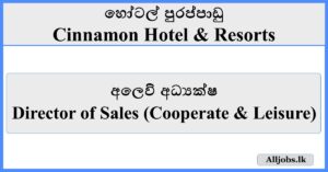 Director of Sales (Cooperate & Leisure) - Cinnamon Hotel & Resorts