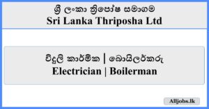 Electrician Boilerman - Sri Lanka Thriposha Ltd