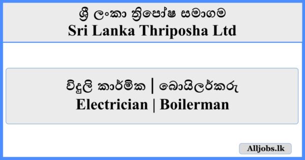 Electrician Boilerman - Sri Lanka Thriposha Ltd
