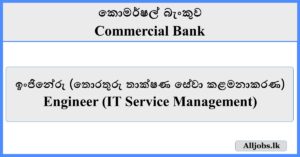 Engineer (IT Service Management) - Commercial Bank