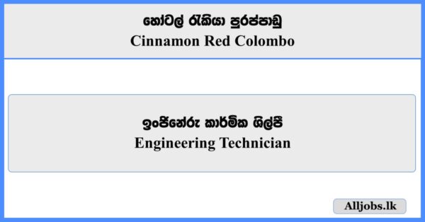 Engineering Technician - Cinnamon Red Colombo