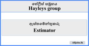 Estimator - Hayleys Group
